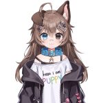 Pochi Wanmaru