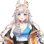 Tokki Carotty