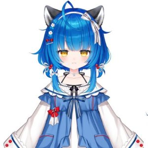 Poko Rakun