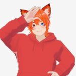 TedysakVT