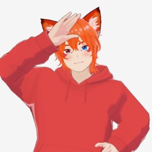 TedysakVT