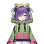 Zumi Dokumi