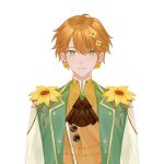 Sunflower Dunky