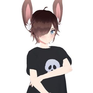 Varidetta