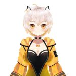 Merochibee
