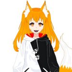 Haiwa Zenko