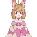 Hufu Fennec