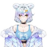 Icey Snowpaws