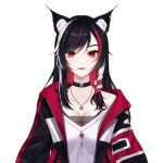 Nyaomix