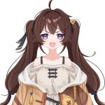 Tanuki Siio
