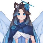 Akikodoessmth