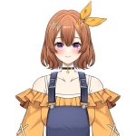 Nerumi Akiyama