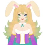 BibiBunVT