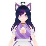 LaNekoVT