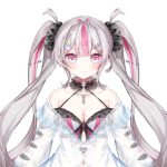 Momokawa Nijimasu