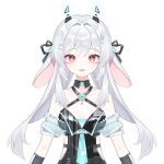 ColdBunnyVT
