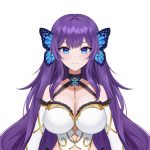 Himechii