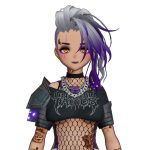 AriFox_VT