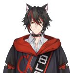 Hyouga Alpha