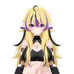Nitta_VT