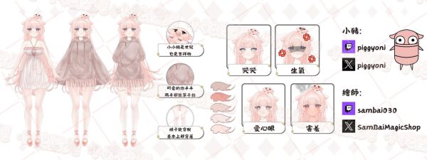 Piggyoni Character Sheet