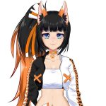 Xionfox