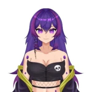 SilentStormVT