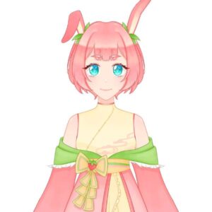 MinsocksVT