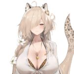 Nashudoki