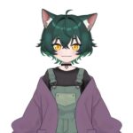 LioplaysVT